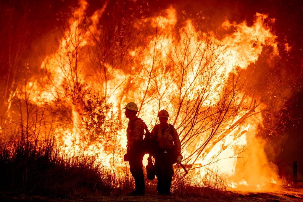 The Biggest Wildfire in Colorado History: A Scorched Legacy