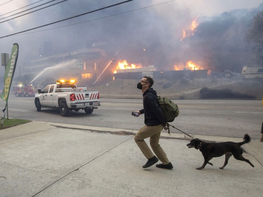 Best post wildfire ash pet respiratory care for cats