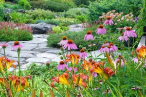 Northeast Pollinator Plants guideline pollinator garden