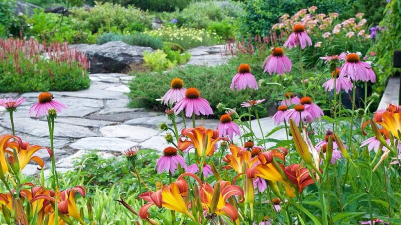 Northeast Pollinator Plants guideline pollinator garden