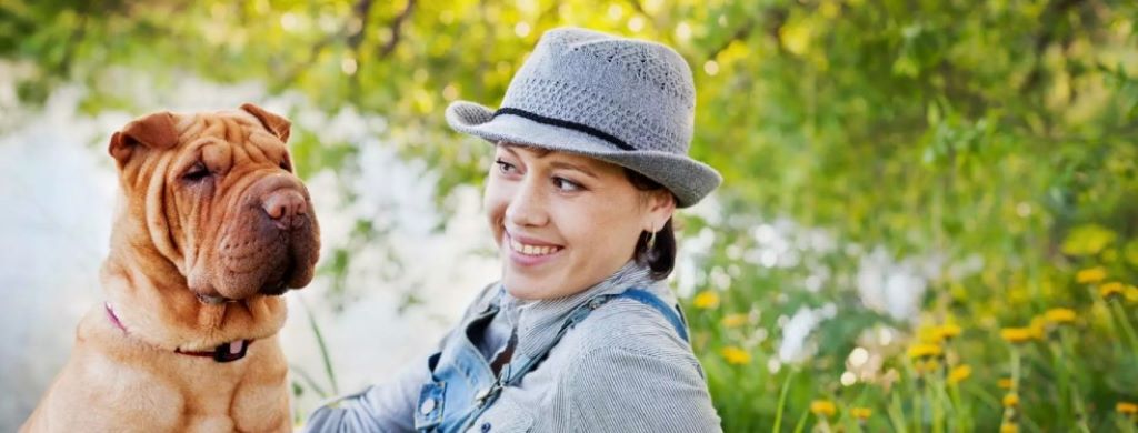 Colorado's Pet Animal Care and Facilities Act (PACFA)