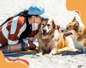 Are you ready to unleash travel adventures with your dog