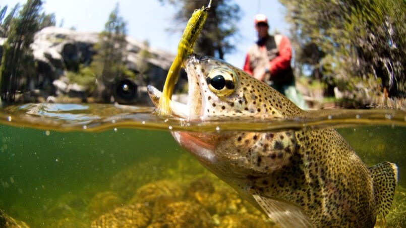 Is Colorado a good state for fishing